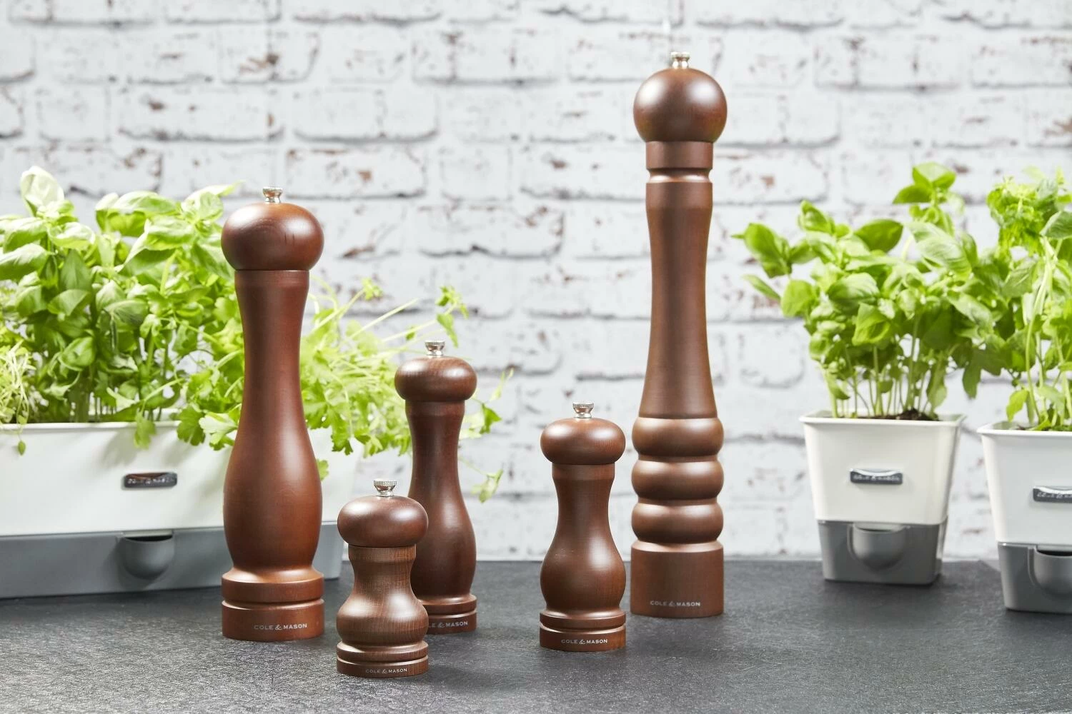 Cole & Mason Forest Capstan, Salzmühle, Ungefüllt, 20 Cm – Bild 3