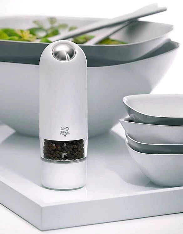 PEUGEOT Salzmühle Alaska Elektrisch – Bild 2